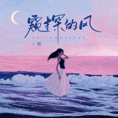 窥探的风封面