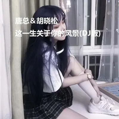 这一生关于你的风景 (DJ版)封面