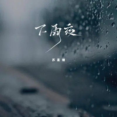 下雨夜 (DJ豪大大版)封面