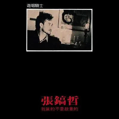 伤痛的邂逅封面