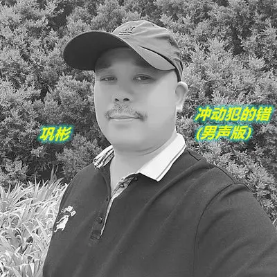 冲动犯的错 (男声版) - 巩德彬封面