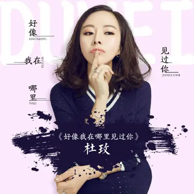 好象我在哪里见过你 (伴奏)封面