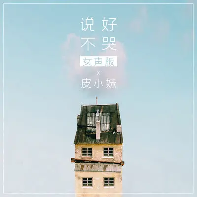 说好不哭 (女声版)封面