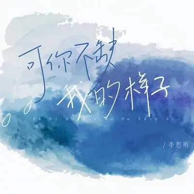 可你不缺我的样子(伴奏)封面