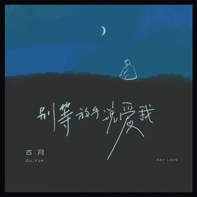 别等放手说爱我(DJ亚明版)封面