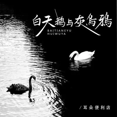 白天鹅与灰乌鸦封面