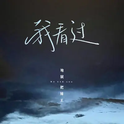 我看过 (释怀版)封面
