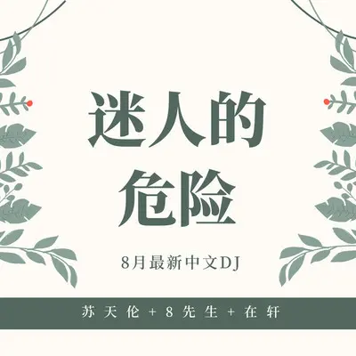好可惜（DJ版）封面