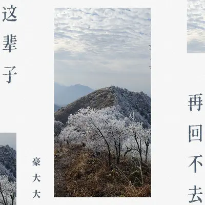是什么让你离开我 (DJ豪大大版)封面
