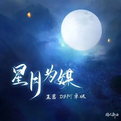 星月为媒 (DJ阿卓版)封面