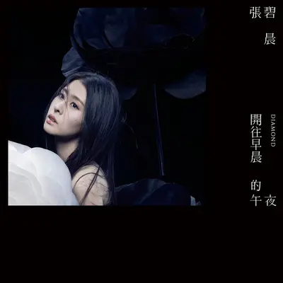 曾经守候 (电影《明月几时有》宣传主题曲)封面
