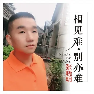 相见难 别亦难(伴奏)封面