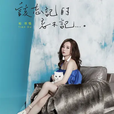 穷得剩爱和善良封面