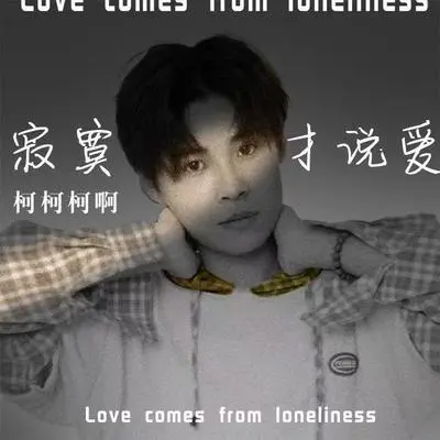 寂寞才说爱（DJ阿圣版）封面