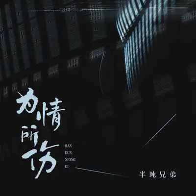 为情所伤(DJ默涵版)(DJ默涵版)封面