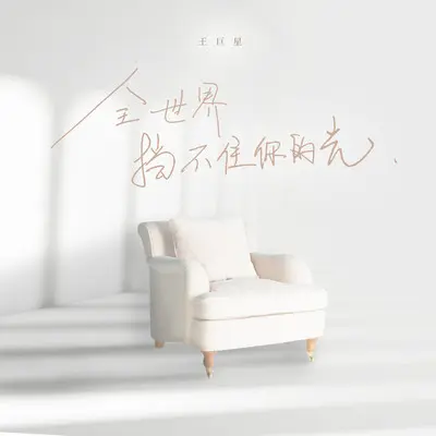 全世界挡不住你的光（完整版）封面