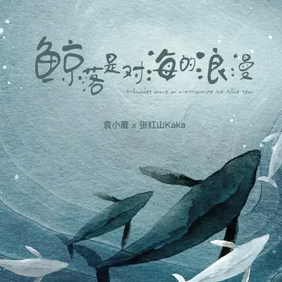鲸落是对海的浪漫封面