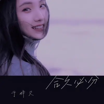 合久必分封面