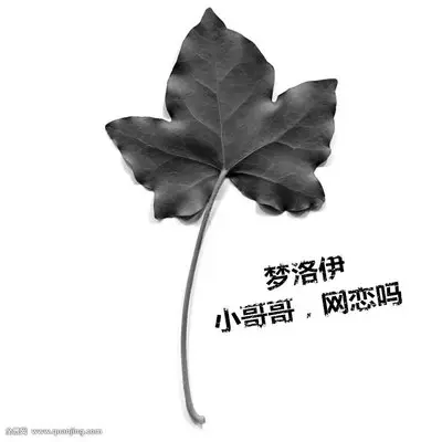 小哥哥，网恋吗封面