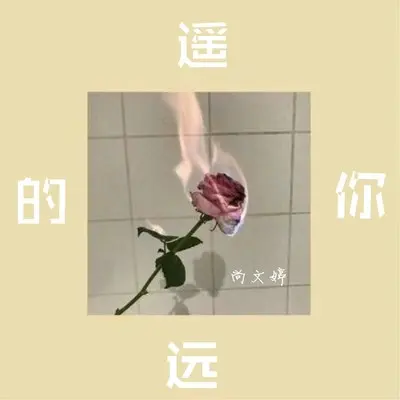 遥远的你封面