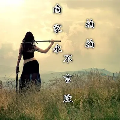 南家永不言败封面