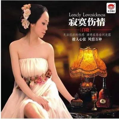 被伤过的心还可以爱谁封面