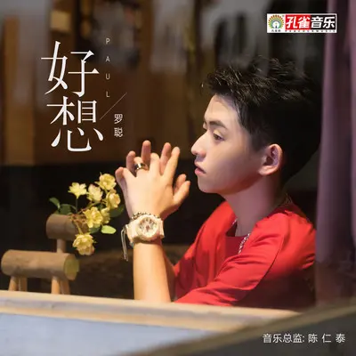 好想 - 罗聪封面