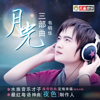 水乡的月光封面