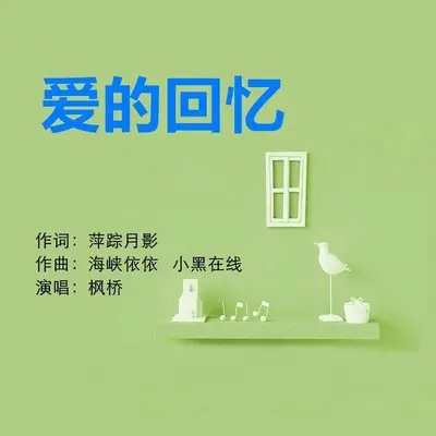 爱的回忆封面