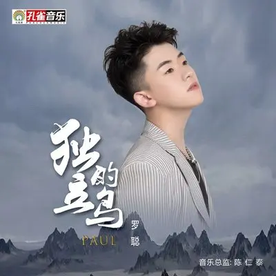 独立的鸟封面