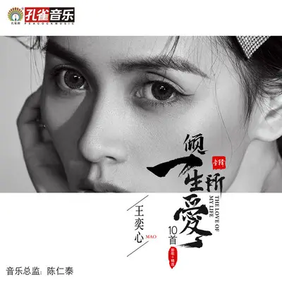 为什么我爱的人不在一起封面