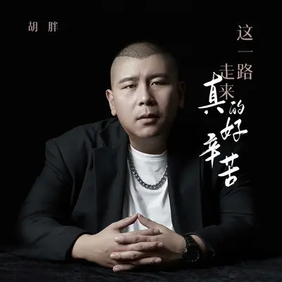 这一路走来真的好辛苦(DJ九零版)封面