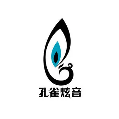 我想回家陪你多说说话 - 孔雀炫音封面