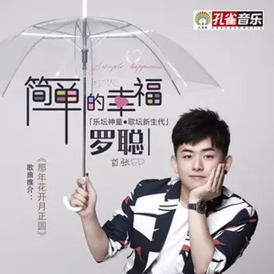 那年花开月正圆封面