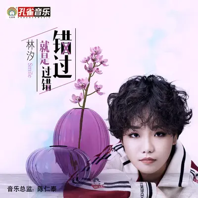 错过就是过错封面