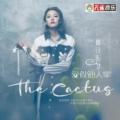爱似仙人掌封面