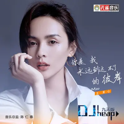 你是我永远到达不了的彼岸(DJheap九天版)封面