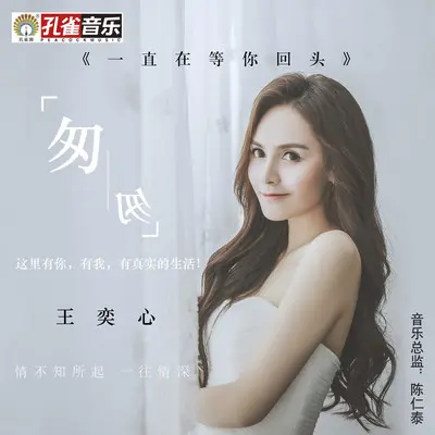 一直在等你回头封面