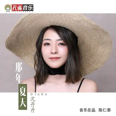 那年夏天封面