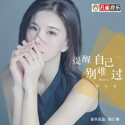 提醒自己别难过封面