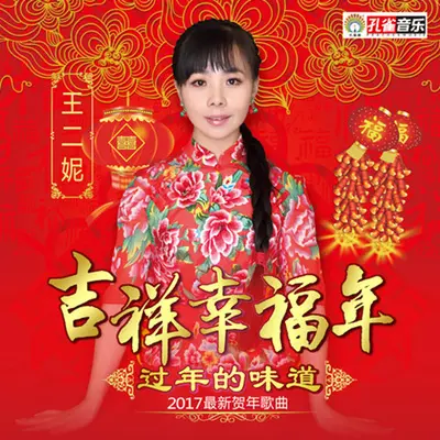 过年的味道封面