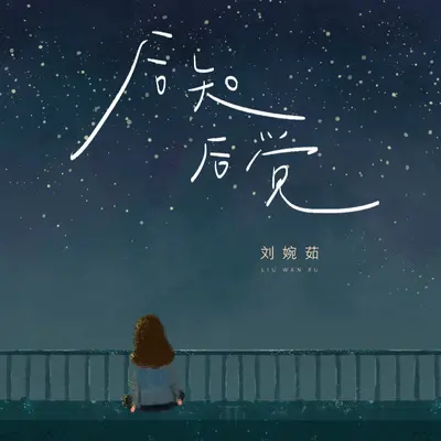 后知后觉 (DJ阳少版) - 刘婉茹封面