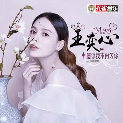 原谅我不再等你封面