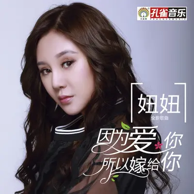 因为爱你所以嫁给你封面