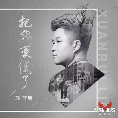 把我变傻了封面