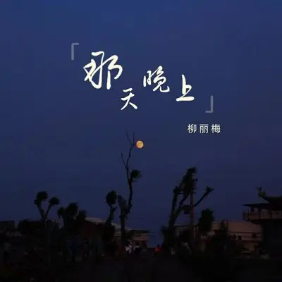 那天晚上封面