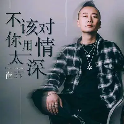 不该对你用情太深封面