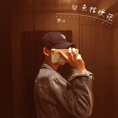 白色桔梗花封面