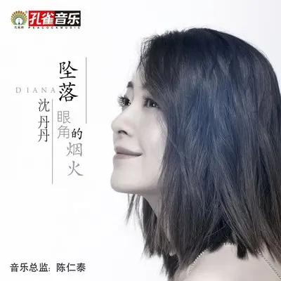 坠落眼角的烟火封面