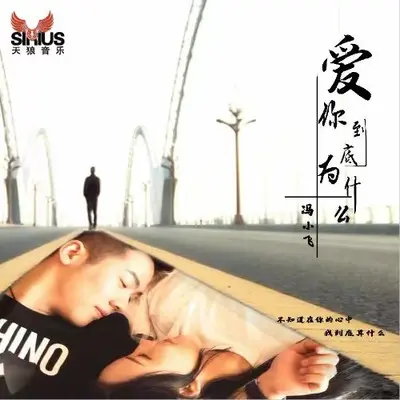 爱你到底为什么封面